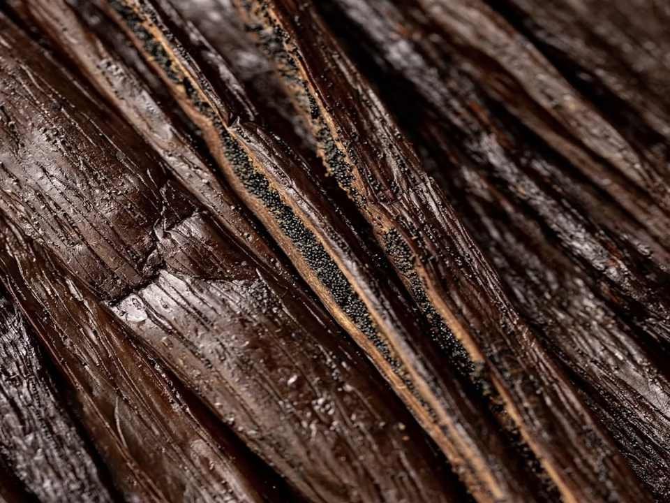 Temporary macro photo of cured vanilla beans